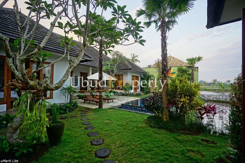 Villa and Land in Ubud